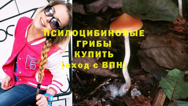 героин Алексин