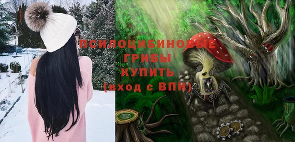 героин Алексин