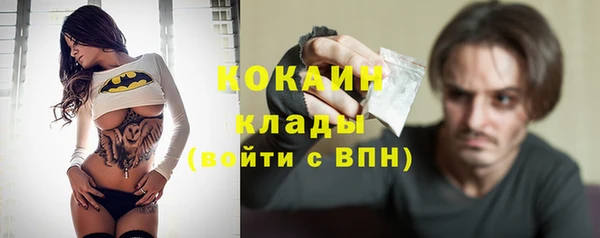 дживик Алзамай