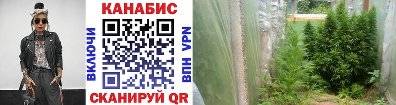Канабис THC 21%  Бологое 